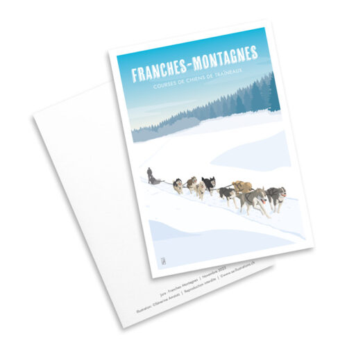 Carte postale - Chiens de traîneaux des Franches-Montagnes