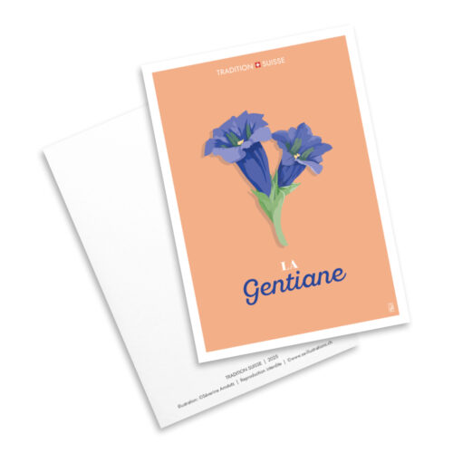 Carte postale - Tradition suisse - Gentiane